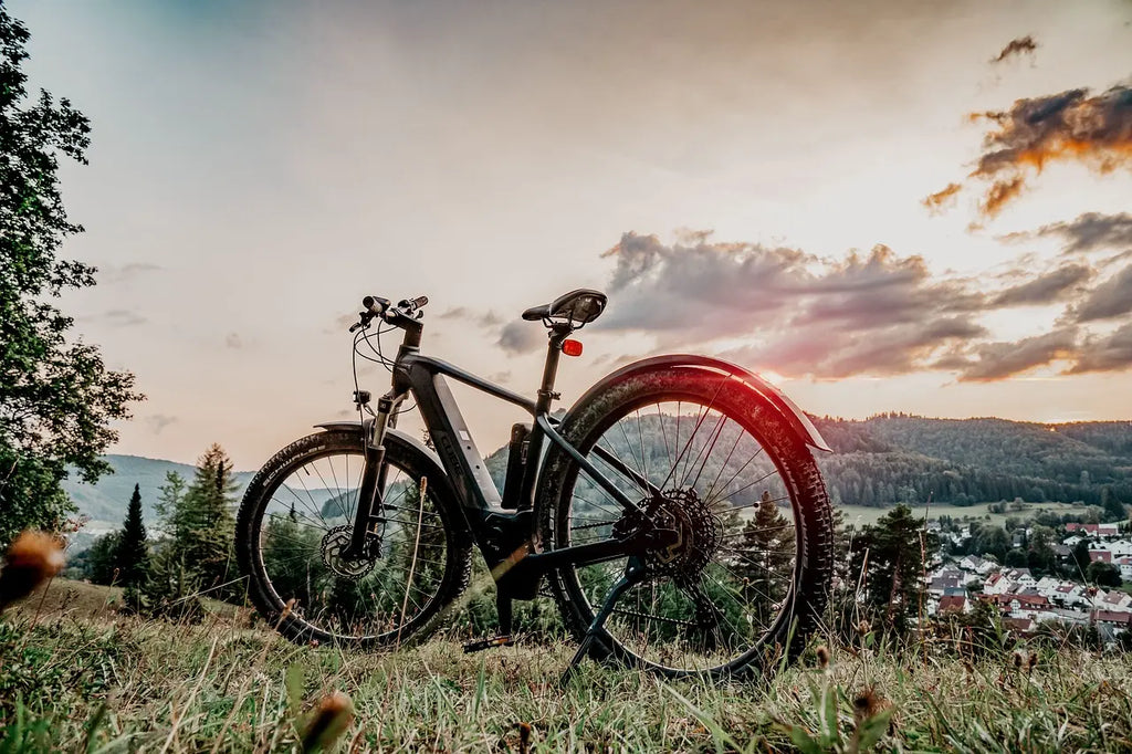 Warum sich für ein elektrisches Mountainbike entscheiden? Entdecken Sie die Vorteile und Tipps für die Auswahl des richtigen Modells im Jahr 2024